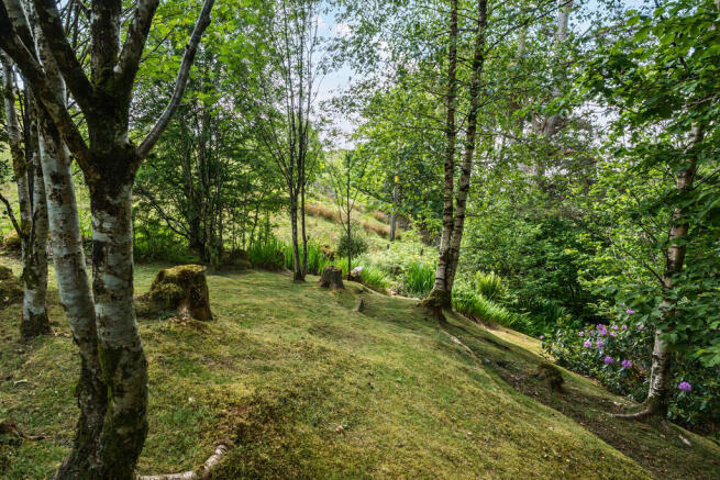 Woodland Garden