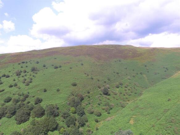 LOT 3 - APPROX 227 ACRES OF ENCLOSED UPLAND MOUNTA