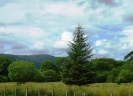 Tigh Na Ceol, The Glen, Auchmore - Fernaig, Achmore, Strome Ferry IV53 8UX