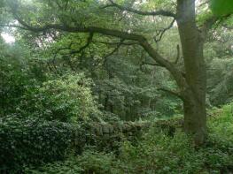 Old Chapel House, Church Street, Lea, Matlock DE4 5JP