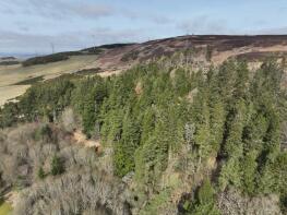 Moorlands, The Brae, Auchterhouse, Kirkton Of Auchterhouse DD3 0RE