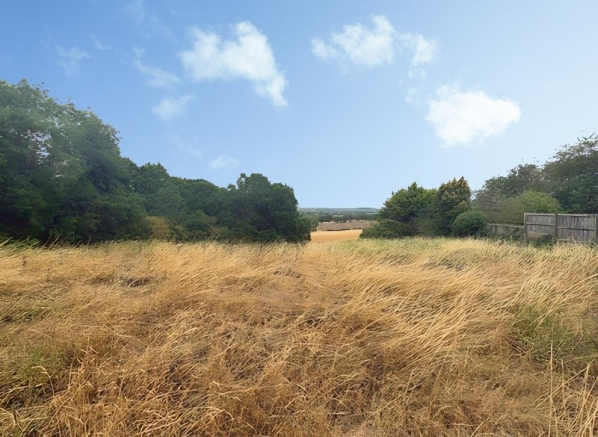 Site View