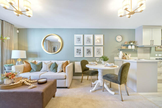 Show home living room