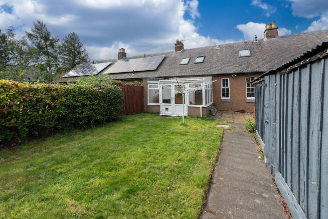 Back Garden