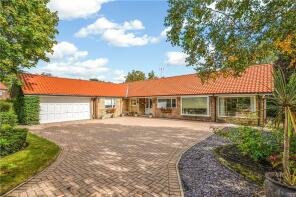 The Paddock, Church Street, Bilton-in-ainsty, Bilton In Ainsty YO26 7NN