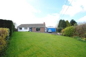Honeybee, Road From Longfield House To Disused Airfield, Honiton EX14 9RF