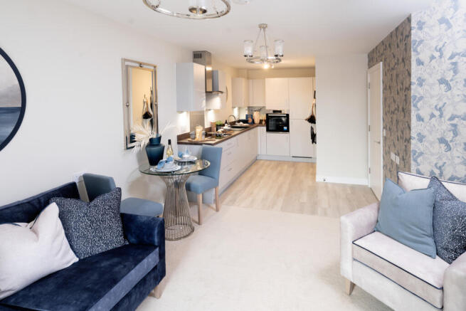 Show home living room