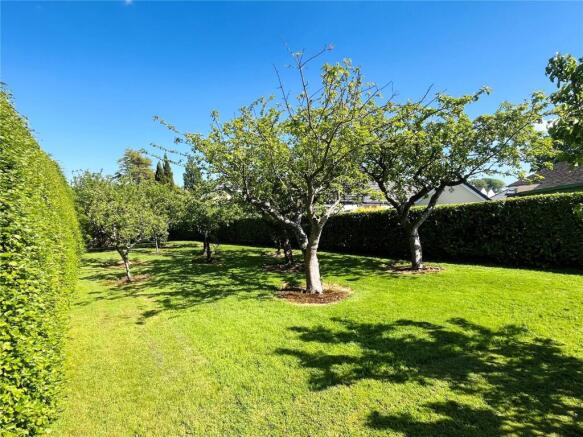 Orchard