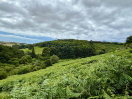 Foxhole, Challons Combe To Bowls Cross, Kingsbridge TQ7 4AN