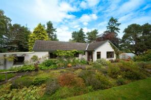 Brackla Wood, Bogbuie Upper Badrain, Culbokie IV7 8GY