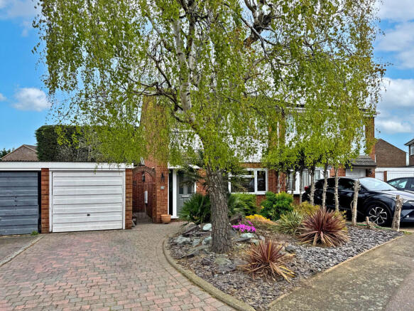 unnamed-4 copy