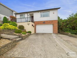 21, Cedar Road, Newton Abbot TQ12 4NY
