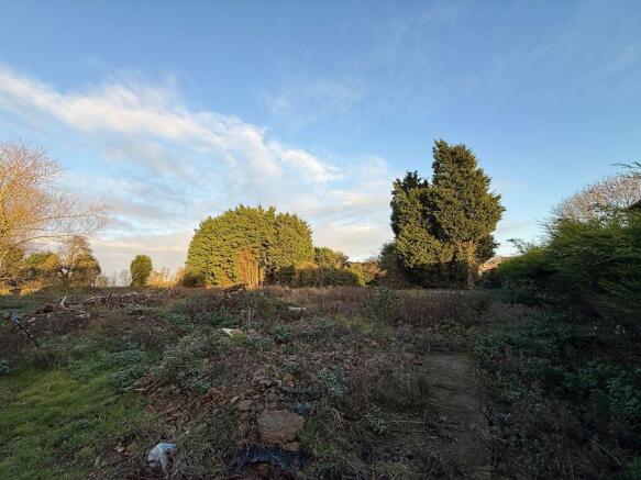 Site Photo