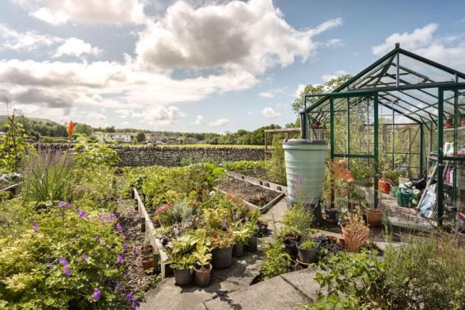 Vegetable Garden