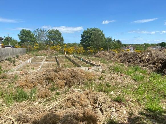 Plot 3