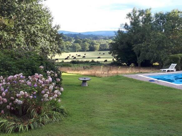 Garden Views
