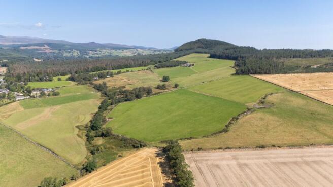 Lot 2 - Wester Moy