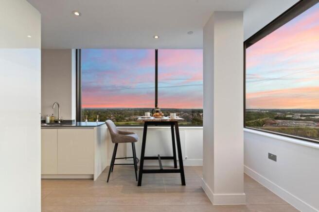 The View 40