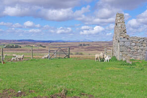 Achvoan, Drumanairguid - Bridge Of Horne, Rogart IV28 3YE