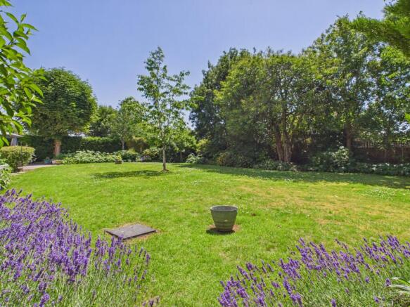 Communal Garden