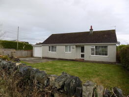 Shandy, Lon Dryll, Llanfairpwllgwyngyll LL61 5PQ