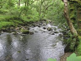 Higher Wapsworthy, Road Over Wapsworthy Bridge, Tavistock PL19 9NA