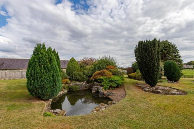 Pond