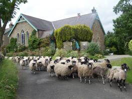 Yew Tree Chapel, U7018 Slaggyford Junction To The Knar, Brampton CA8 7NH
