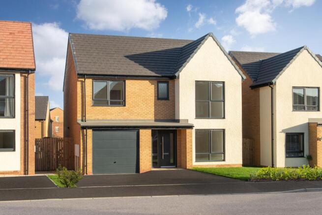 Showhome Photography