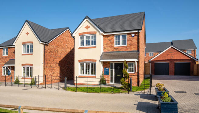 Showhome Photography