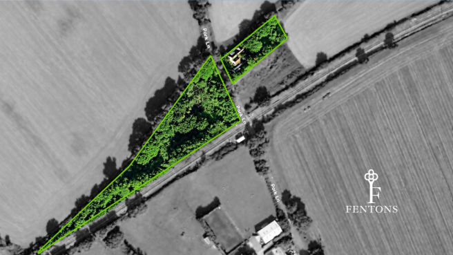 Photographs JF - 2026-09-07T104657.167.png