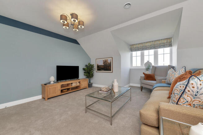Show home living room