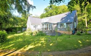 Wych Elm, Cefn Bychan Road, Mold CH7 5EL