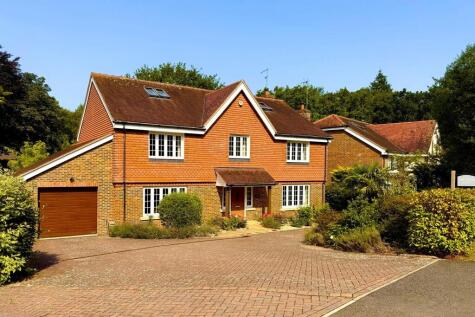 Thakeham Copse, Storrington, RH20