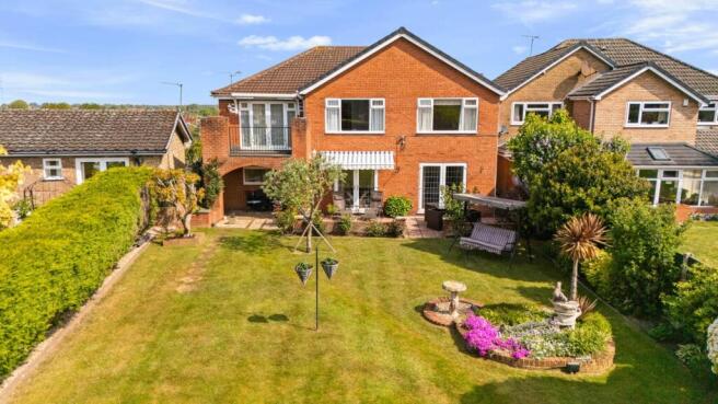 Back Garden