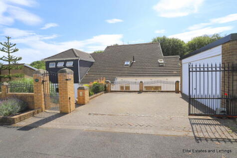 The Generals Wood, Harraton, Washington, NE38