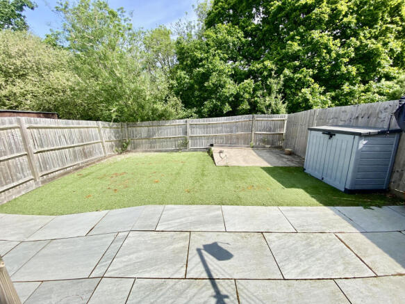 garden wintergreen