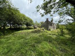 Brynhope, Trefenter SY23 4HE