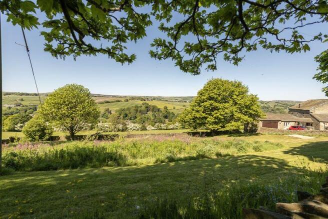 Meadow