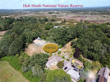 Woodhuish Coniferales, Holt, Wimborne, BH21 7EA