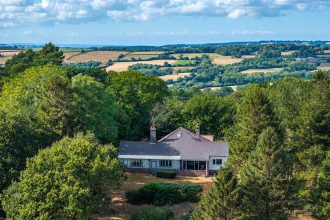 Marshwood