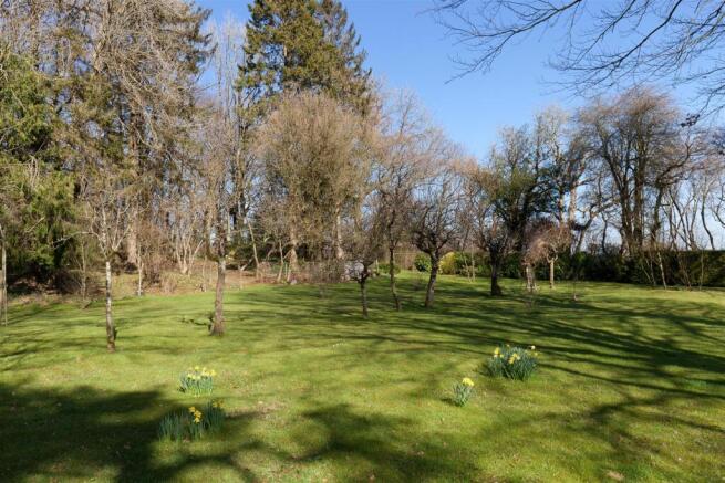 Back garden