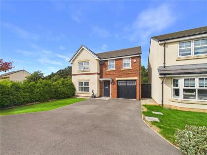 Boyle Grove, Spennymoor, Durham, DL16