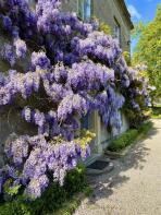 Whatley Combe House, Old Wells Road, Whatley, Frome BA11 3JU