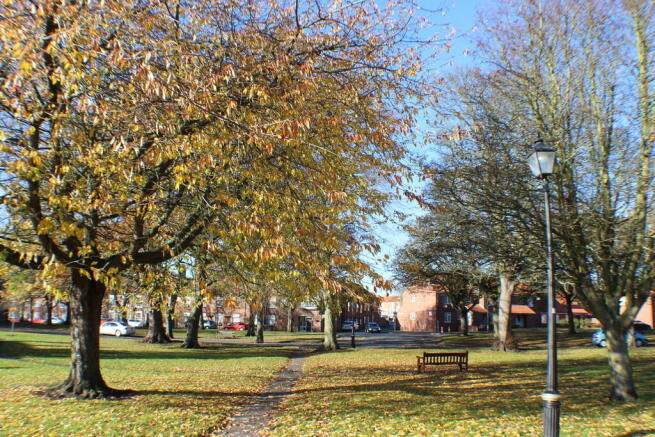Views of Bridling...