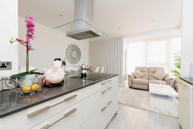 Kitchen/Living Area