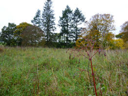 Viewfield, Croalchapel, Private Road From C6n At Croalchapel To Mill, Closeburn, Thornhill DG3 5HJ