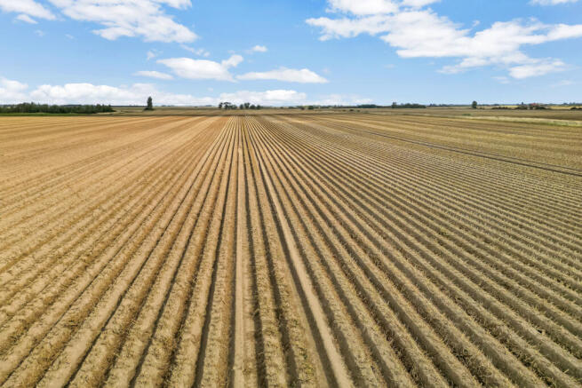Land