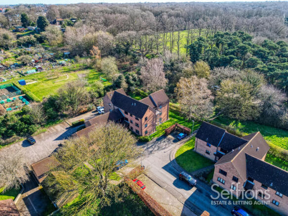 DJI_0771_2