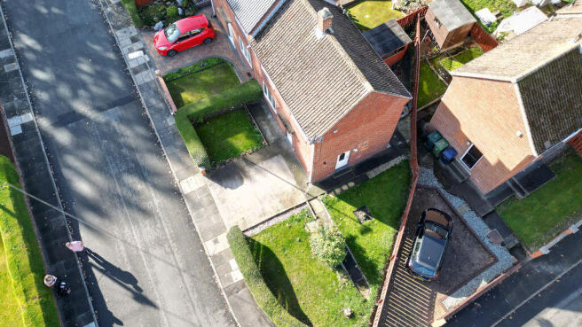 Plot View